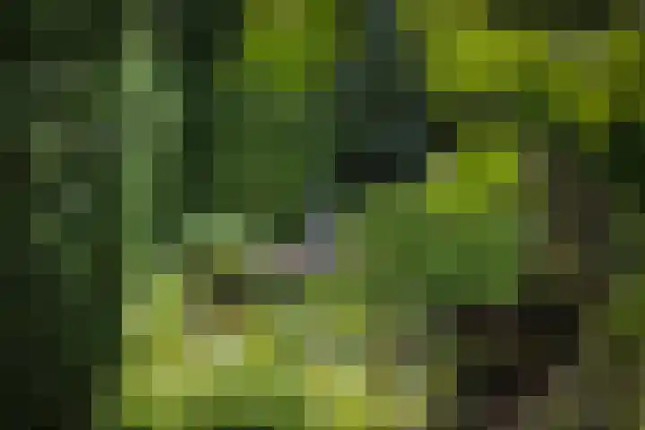 Schoolstraat 9 Twello thumbnail 38