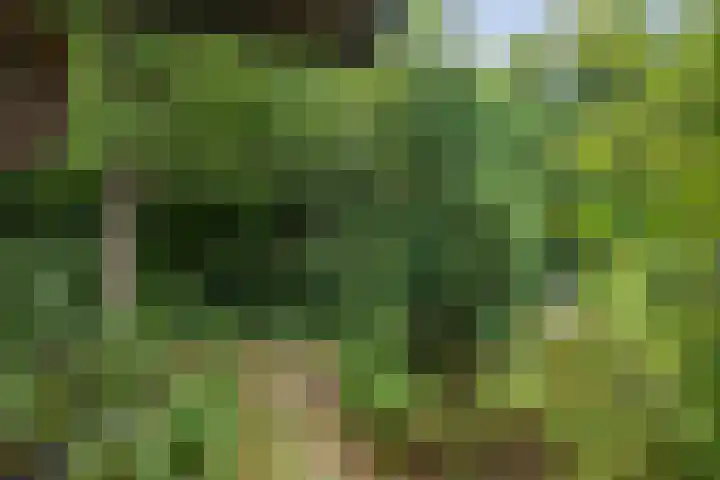 Schoolstraat 9 Twello thumbnail 39