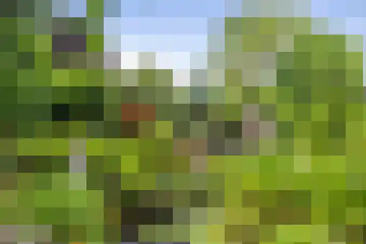 Schoolstraat 9 Twello thumbnail 40