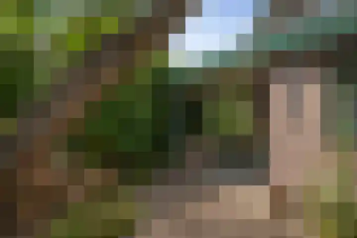 Schoolstraat 9 Twello thumbnail 41