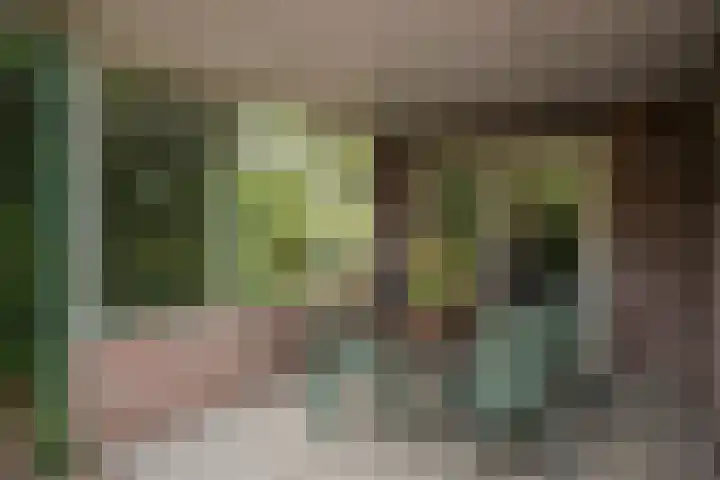 Schoolstraat 9 Twello thumbnail 42