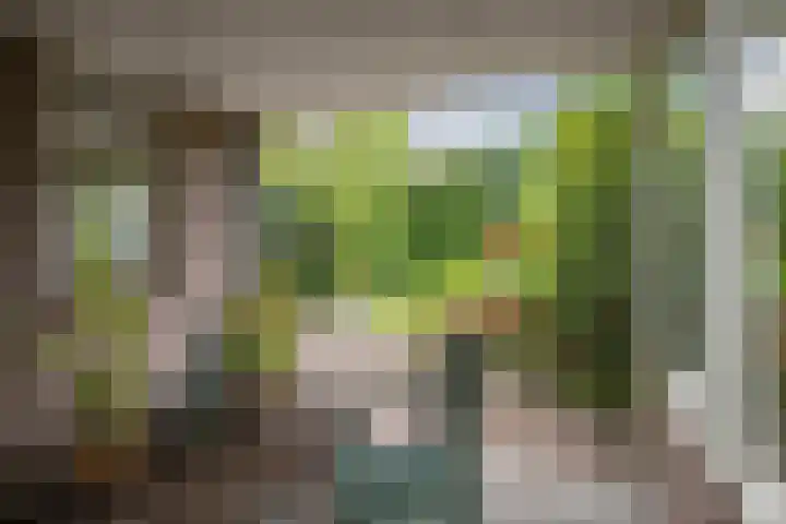 Schoolstraat 9 Twello thumbnail 43