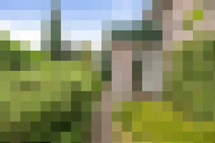 Schoolstraat 9 Twello thumbnail 44