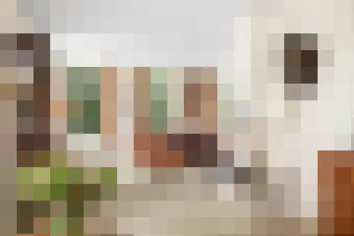 Schoolstraat 9 Twello thumbnail 7