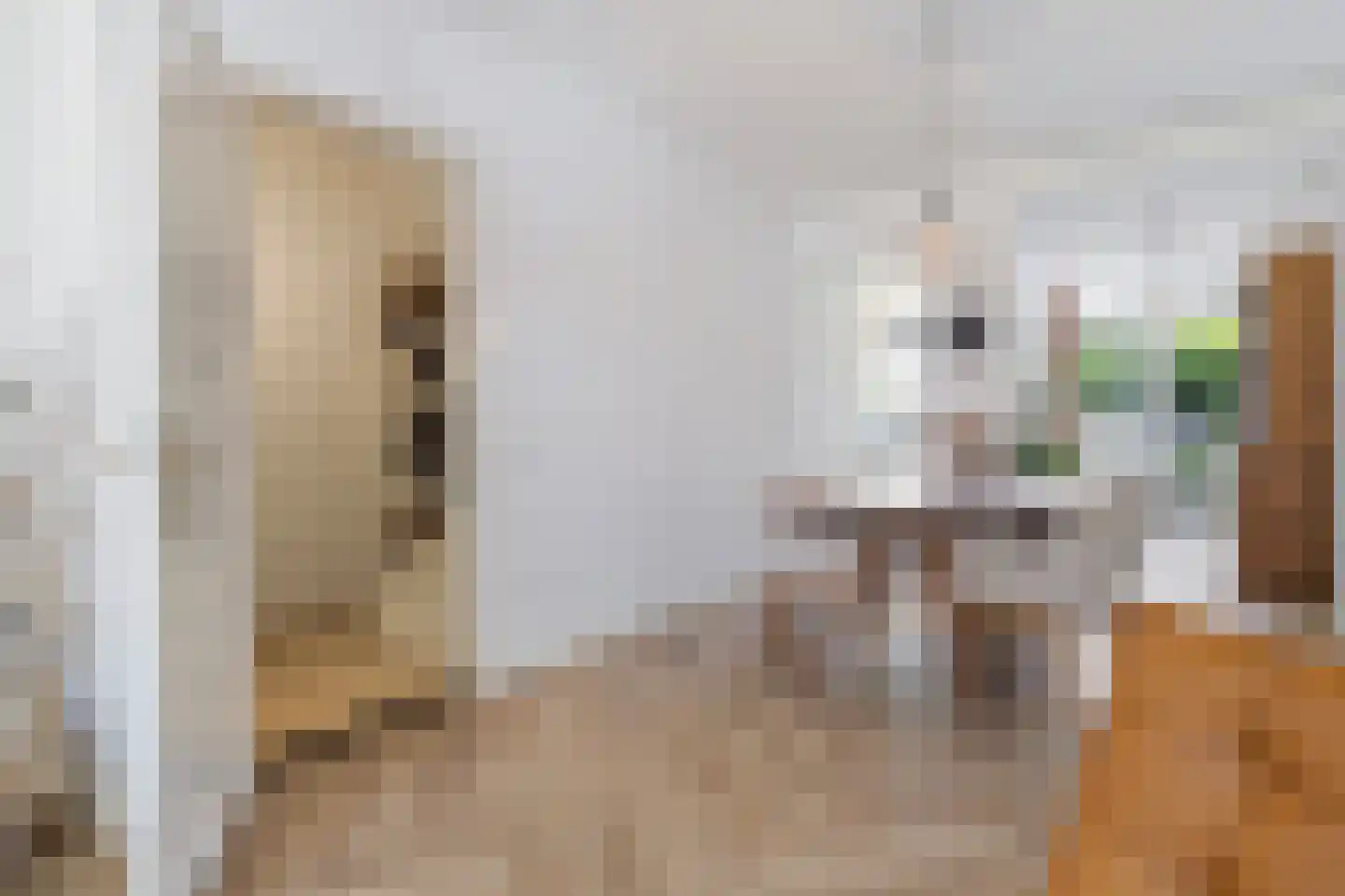 Schoolstraat 9 Venlo thumbnail 13