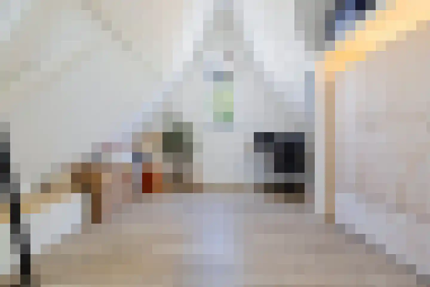 Schoolstraat 9 Venlo thumbnail 35