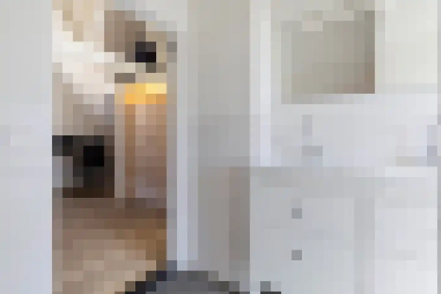 Schoolstraat 9 Venlo thumbnail 37