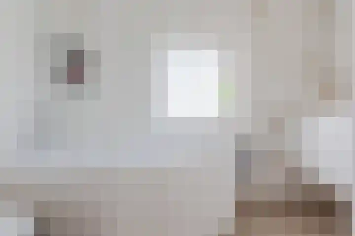Schoolstraat 9 Vogelwaarde thumbnail 20