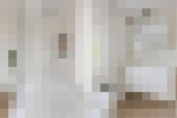 Schoolstraat 9 Vogelwaarde thumbnail 21