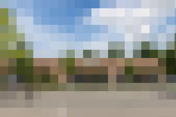 Schoolstraat 9 Vogelwaarde thumbnail 35