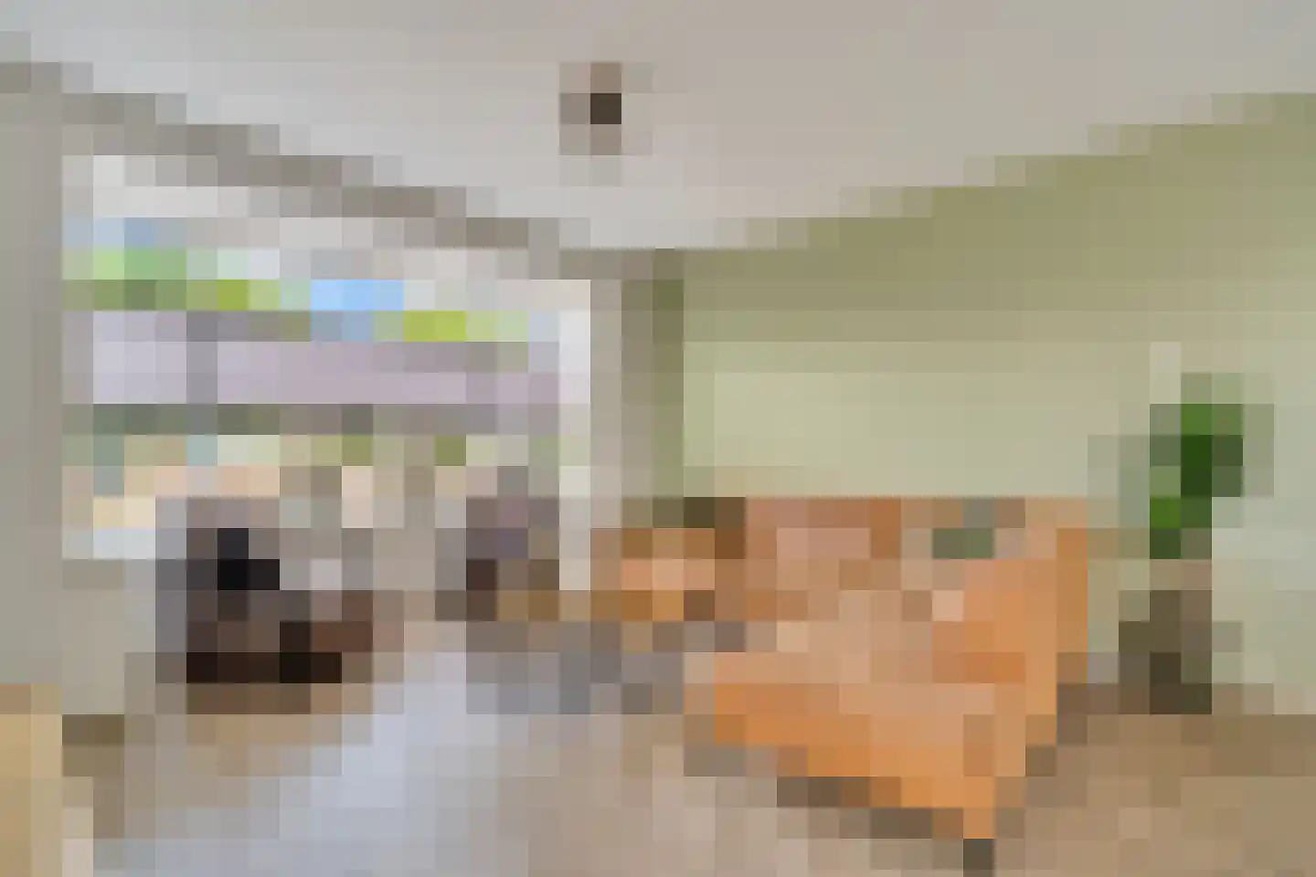 Schoolstraat 9 Vroomshoop thumbnail 10