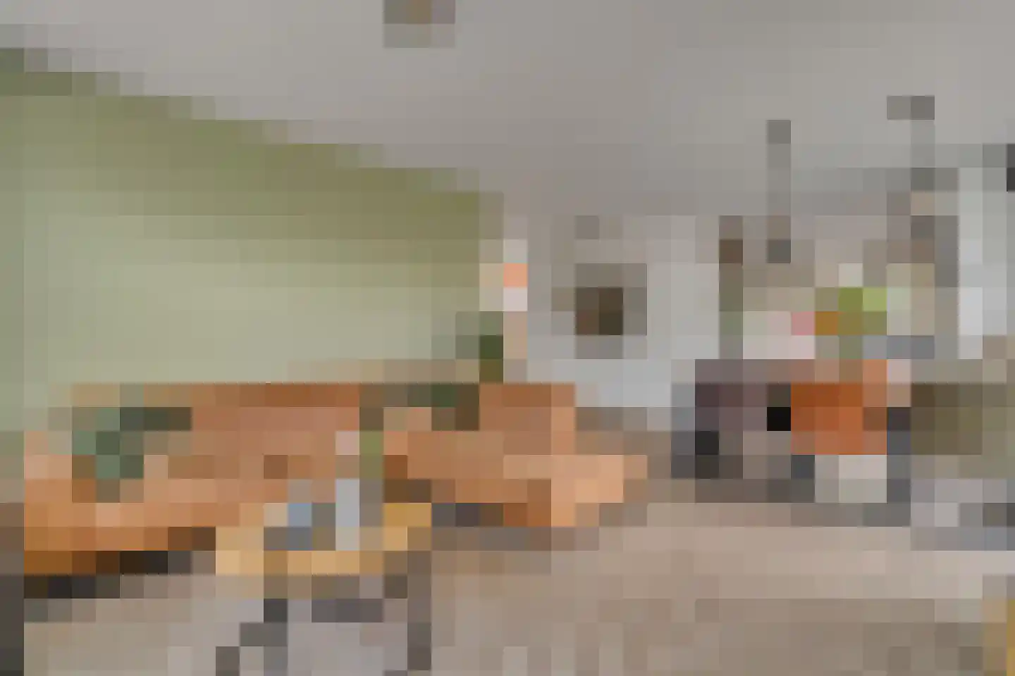 Schoolstraat 9 Vroomshoop thumbnail 11
