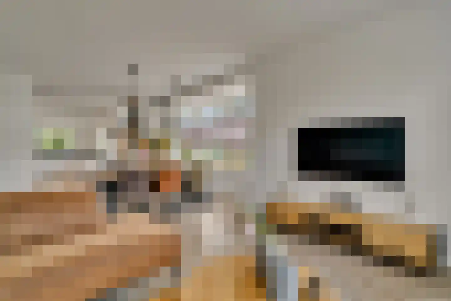 Schoolstraat 9 Vroomshoop thumbnail 12
