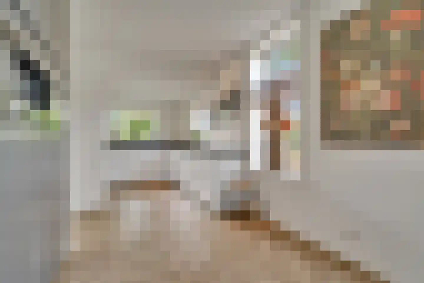 Schoolstraat 9 Vroomshoop thumbnail 13