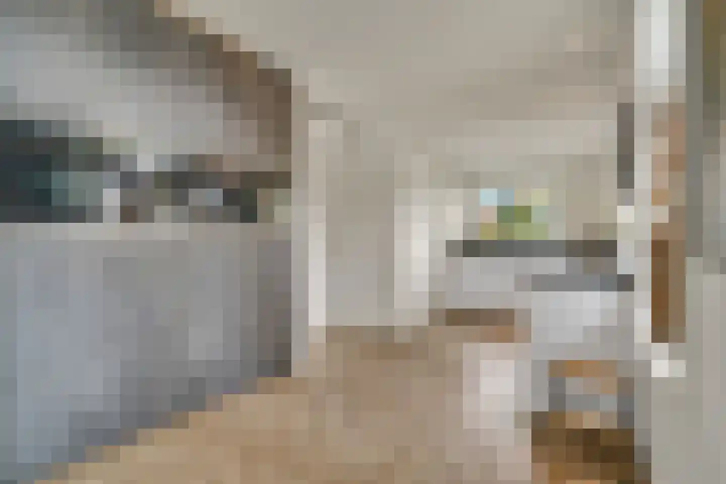 Schoolstraat 9 Vroomshoop thumbnail 14