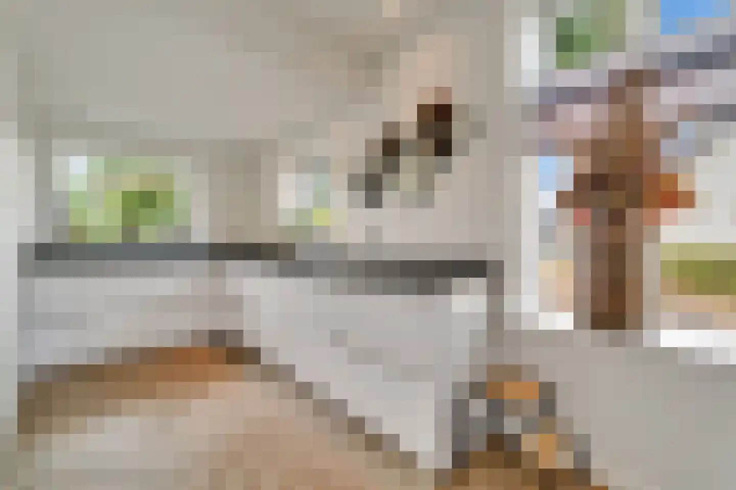 Schoolstraat 9 Vroomshoop thumbnail 15