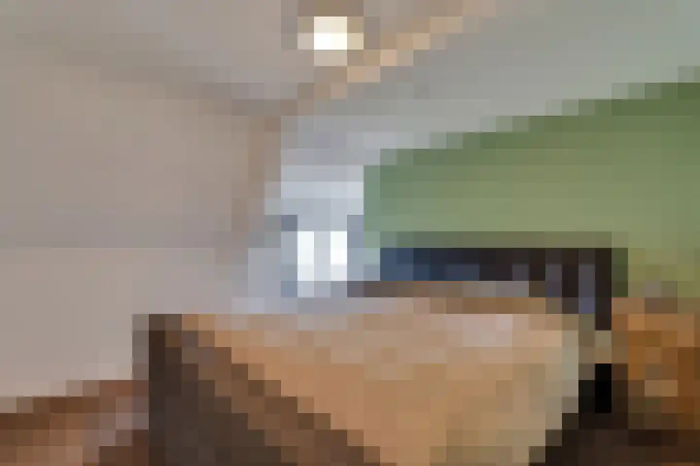 Schoolstraat 9 Vroomshoop thumbnail 21