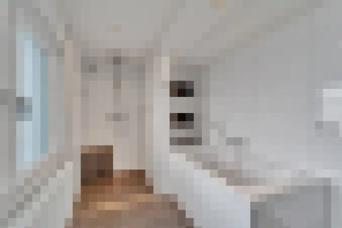 Schoolstraat 9 Vroomshoop thumbnail 24