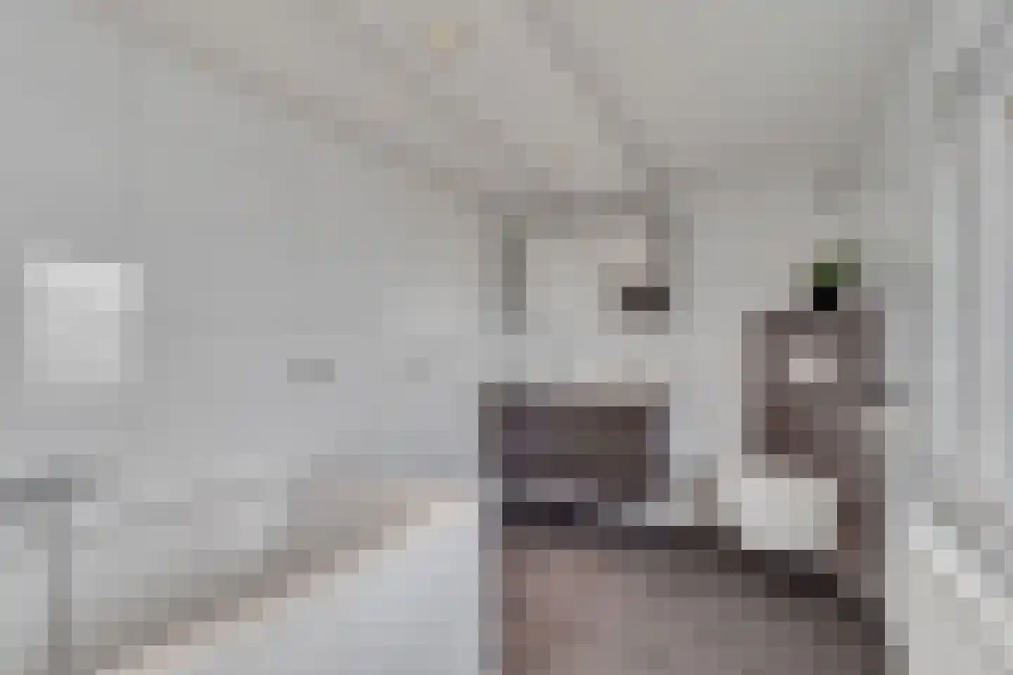 Schoolstraat 9 Vroomshoop thumbnail 25