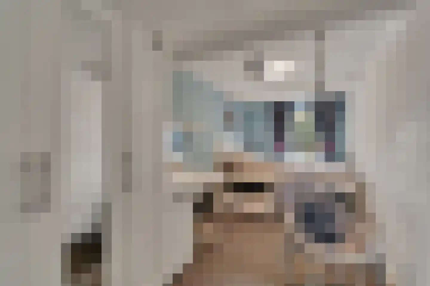 Schoolstraat 9 Vroomshoop thumbnail 26