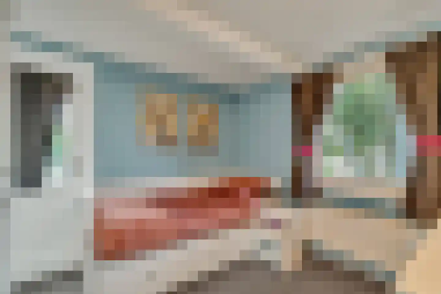 Schoolstraat 9 Vroomshoop thumbnail 29