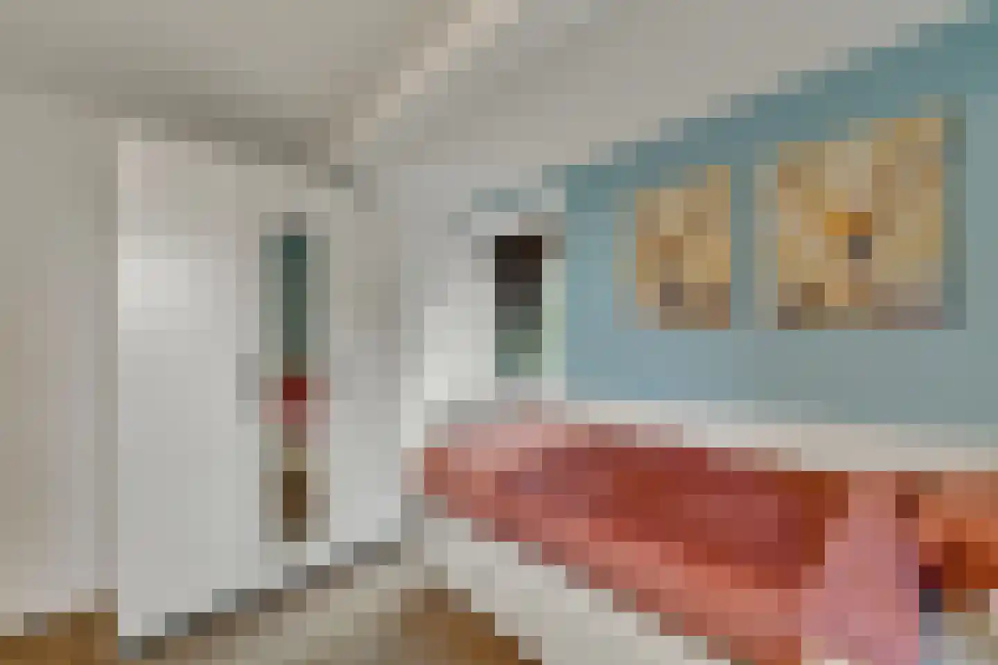 Schoolstraat 9 Vroomshoop thumbnail 30