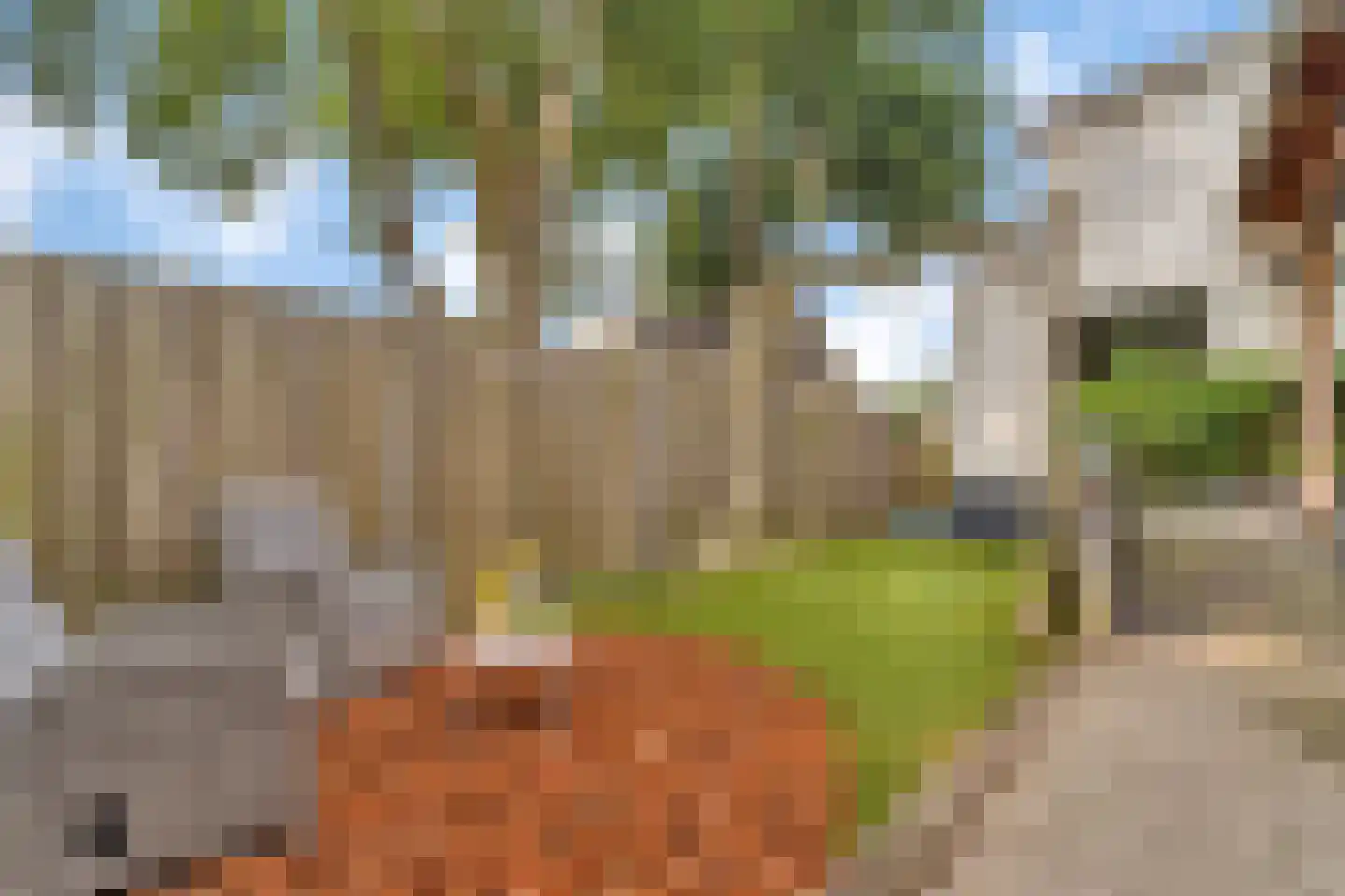 Schoolstraat 9 Vroomshoop thumbnail 31