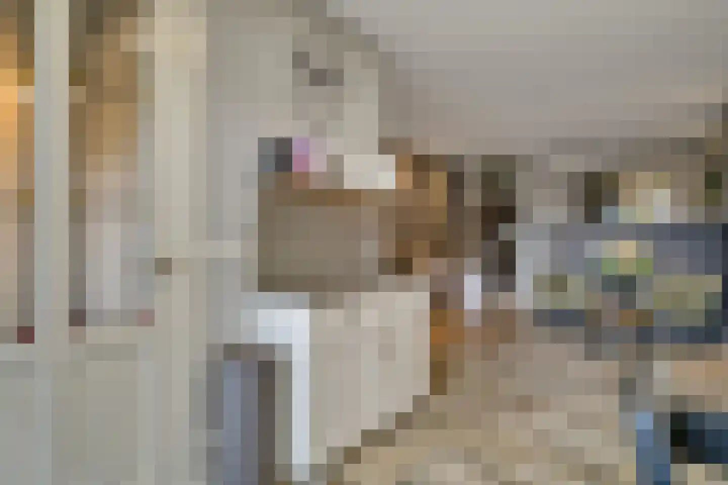 Schoolstraat 9 Vroomshoop thumbnail 34