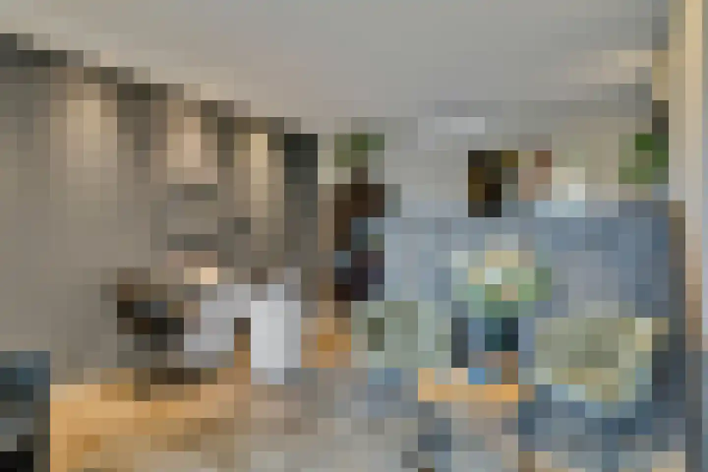 Schoolstraat 9 Vroomshoop thumbnail 35