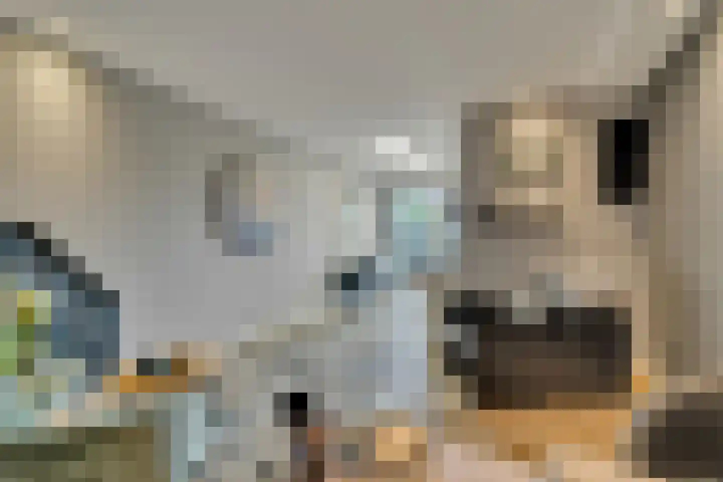 Schoolstraat 9 Vroomshoop thumbnail 37
