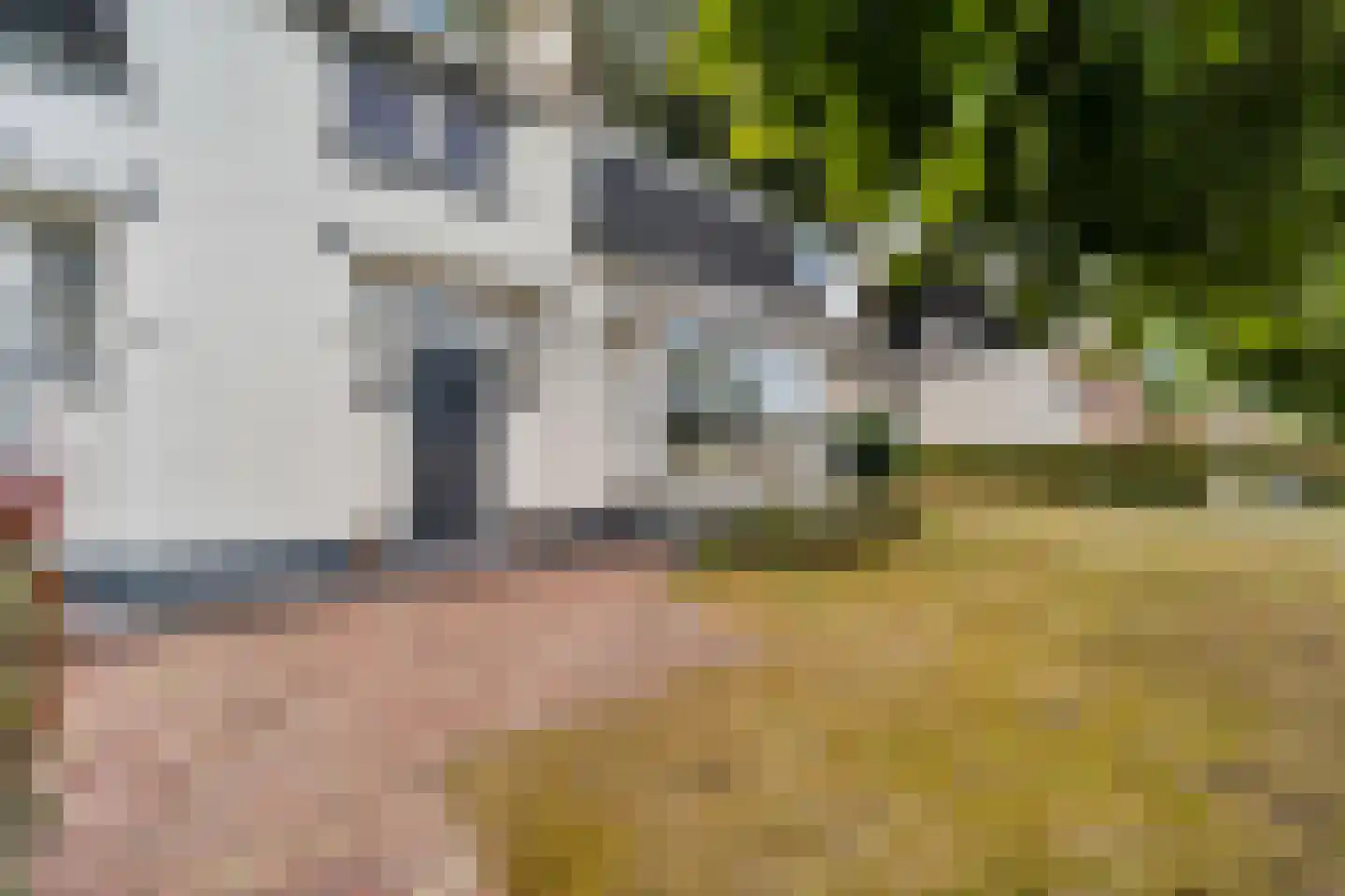 Schoolstraat 9 Vroomshoop thumbnail 4