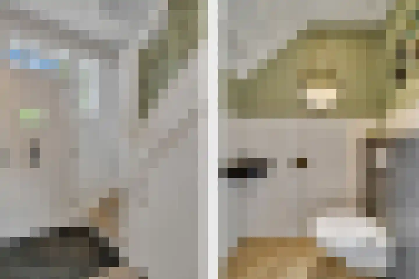 Schoolstraat 9 Vroomshoop thumbnail 6
