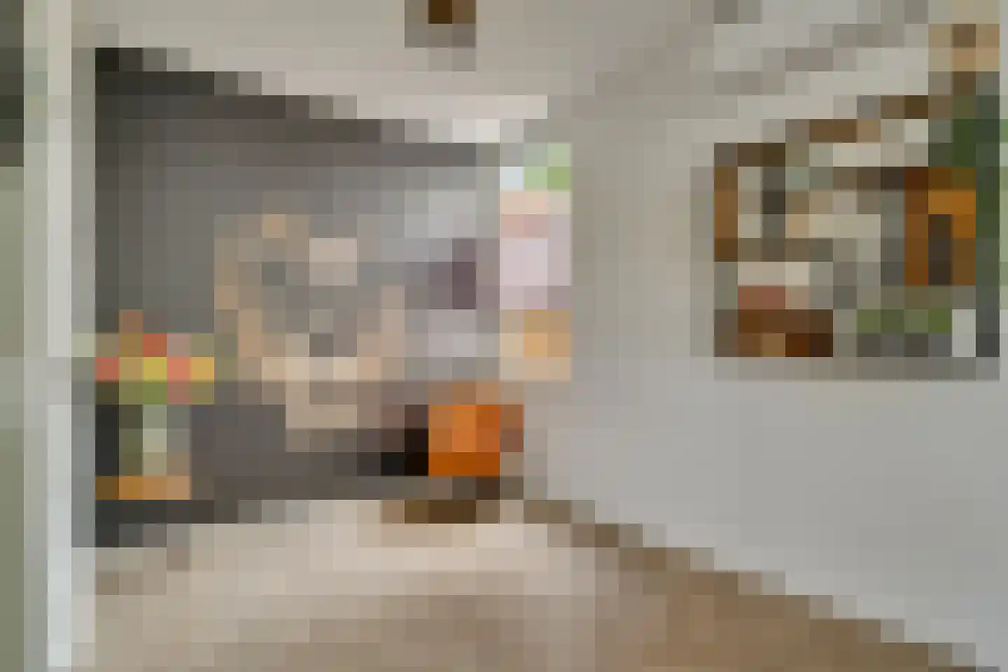 Schoolstraat 9 Vroomshoop thumbnail 7