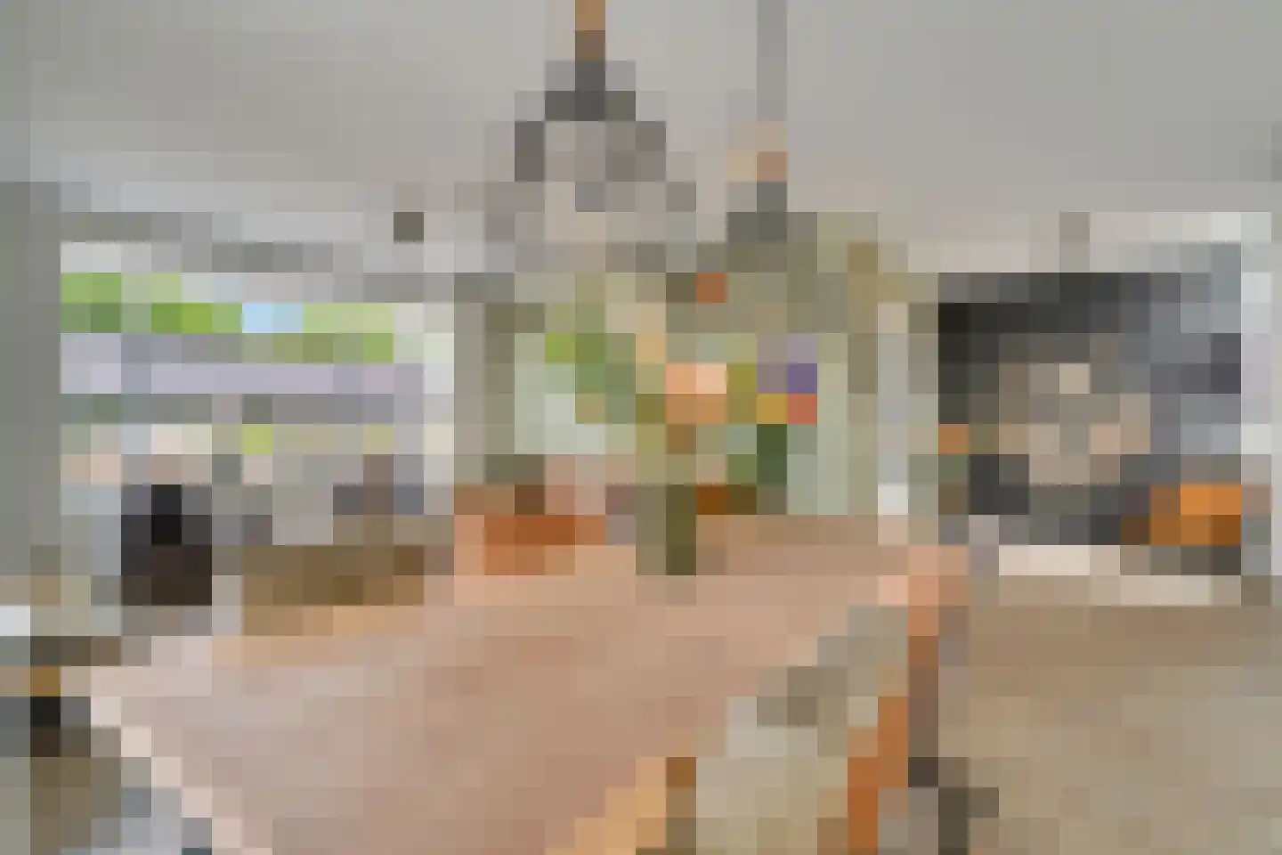 Schoolstraat 9 Vroomshoop thumbnail 8