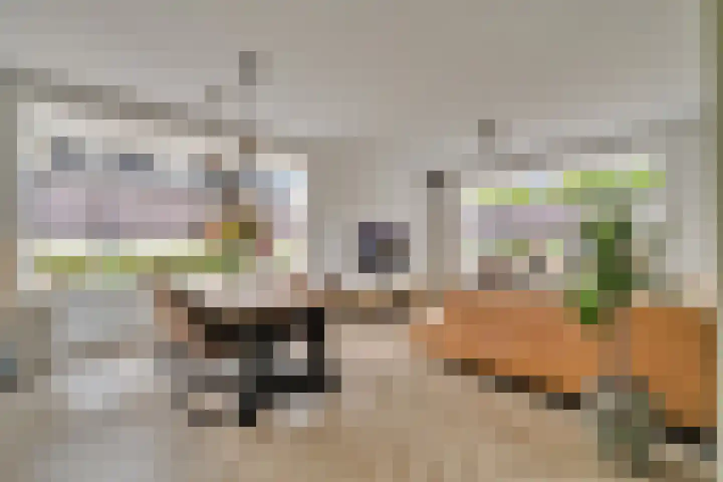 Schoolstraat 9 Vroomshoop thumbnail 9