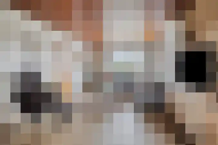 Schoolstraat 90 Vlagtwedde thumbnail 13