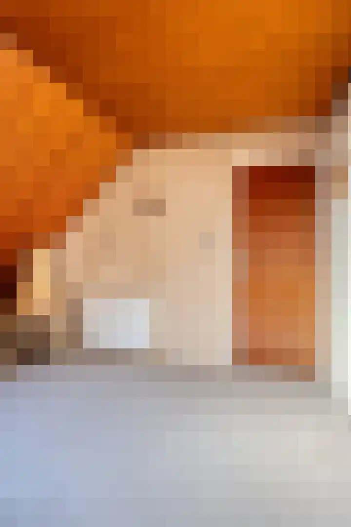 Schoolstraat 90 Vlagtwedde thumbnail 30