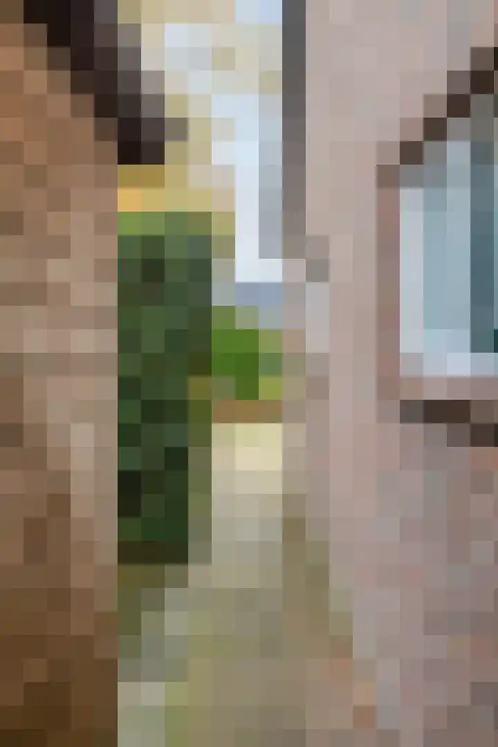 Schoolstraat 90 Vlagtwedde thumbnail 39
