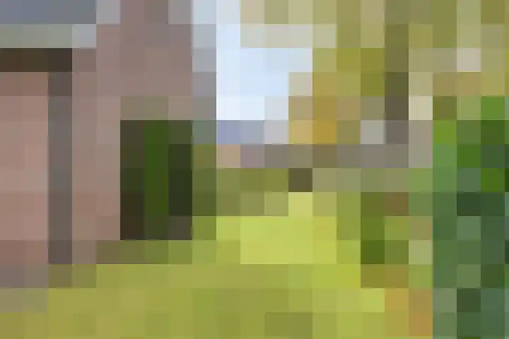 Schoolstraat 90 Vlagtwedde thumbnail 41