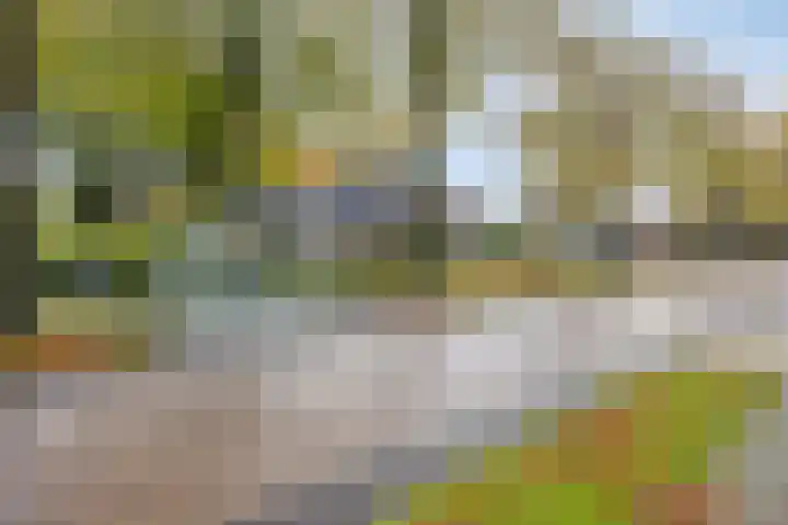 Schoolstraat 90 Vlagtwedde thumbnail 8