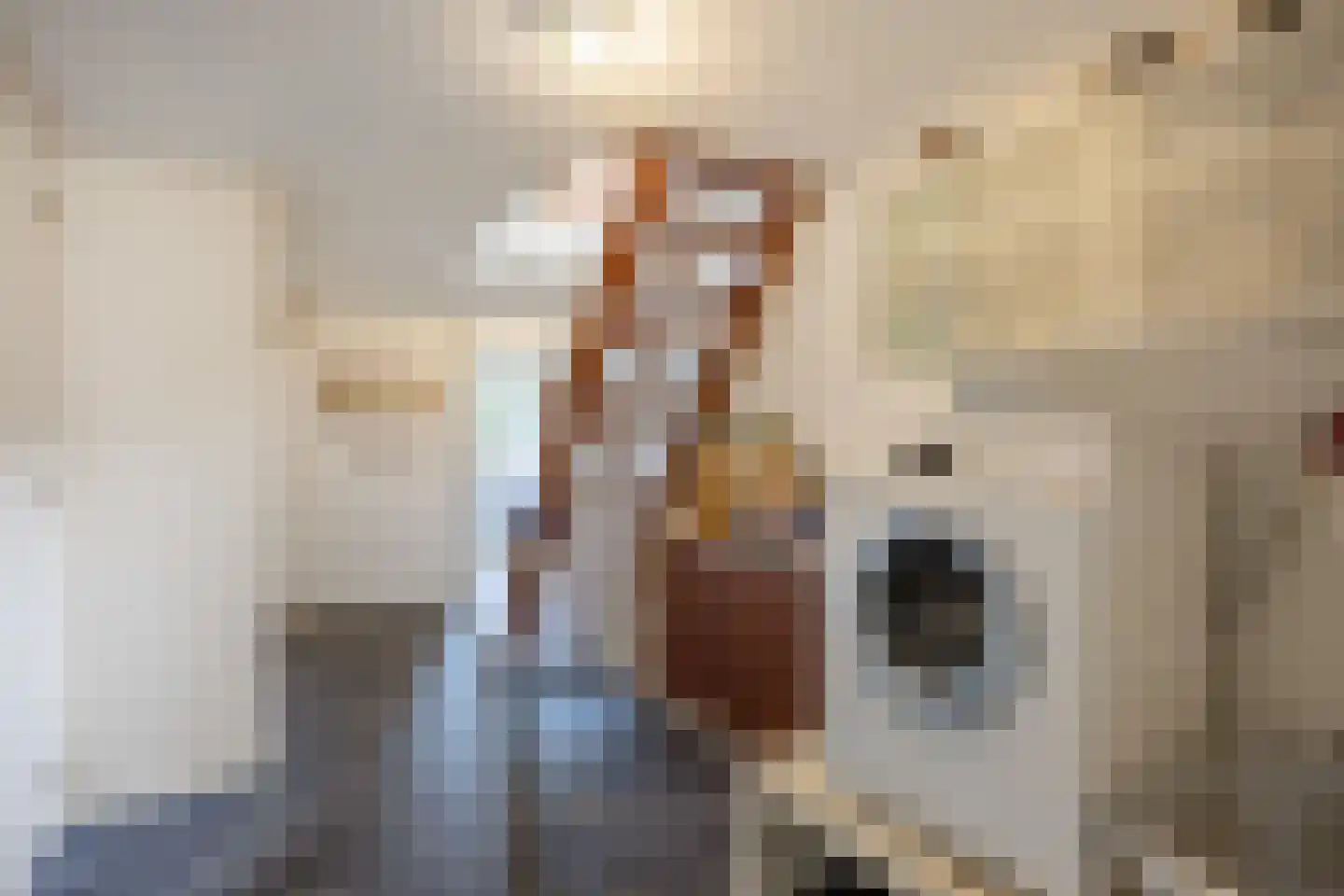 Schoolstraat 92 Uithuizen thumbnail 32