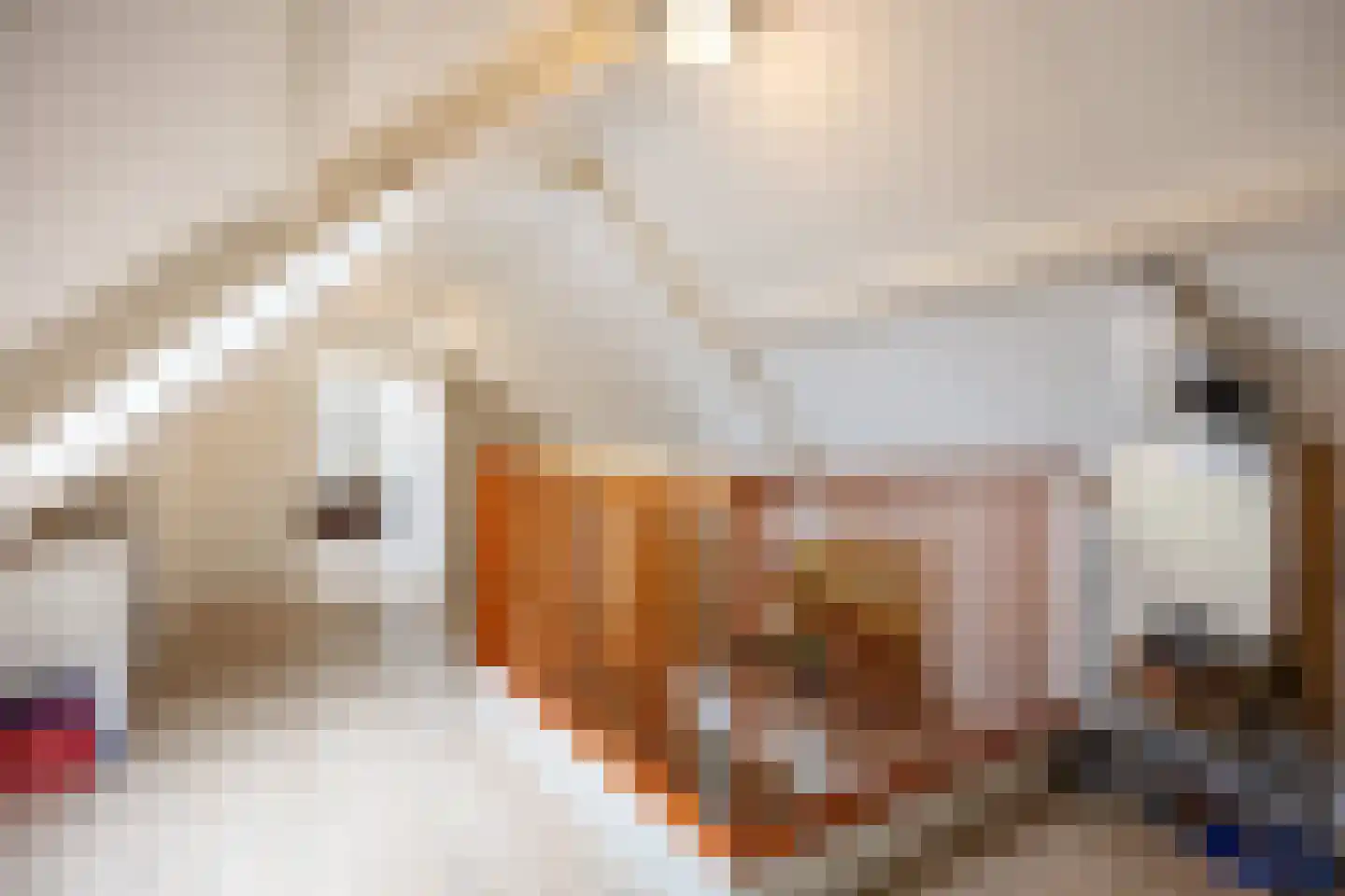 Schoolstraat 92 Uithuizen thumbnail 35
