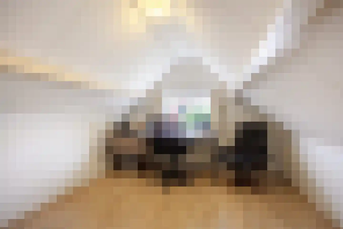 Schoolstraat 92 Uithuizen thumbnail 38