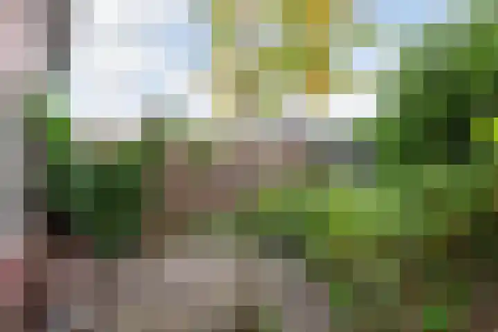 Schoolstraat 95 Putten thumbnail 23