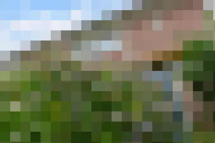 Schoolstraat 95 Putten thumbnail 28