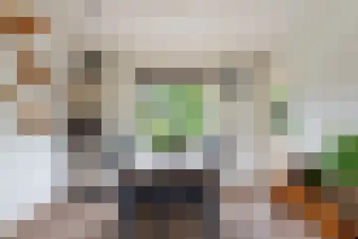 Schoolstraat 95 Putten thumbnail 8