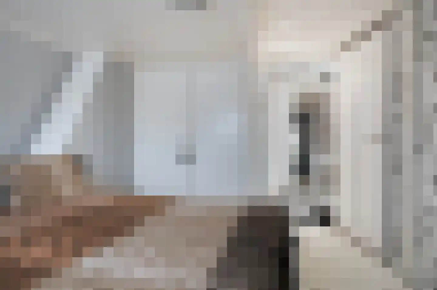 Schoolstraat 99 Goor thumbnail 17