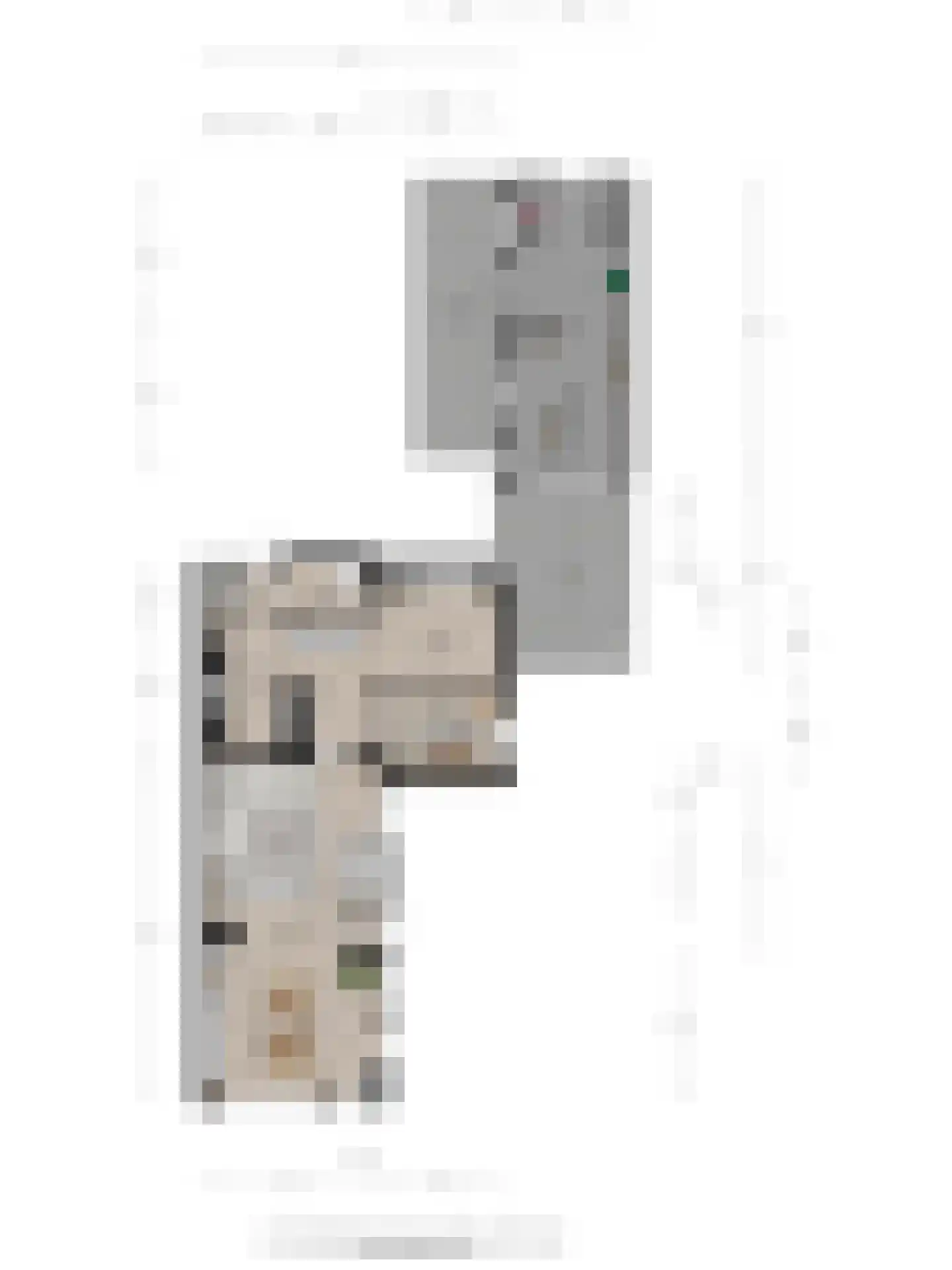 Schoolstraat 99 Goor thumbnail 23