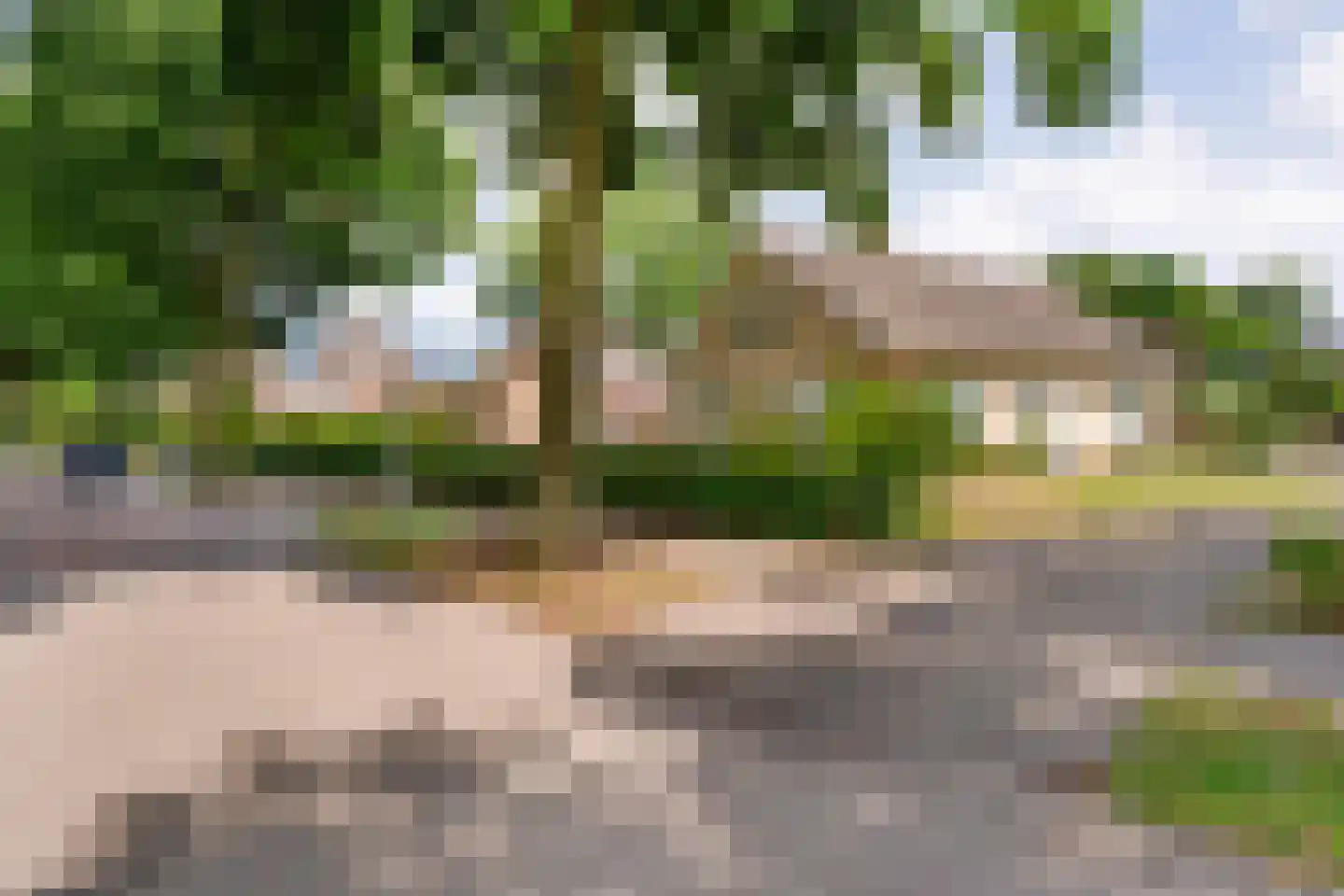Schoolstraat-Oudleusen 28 Dalfsen thumbnail 4