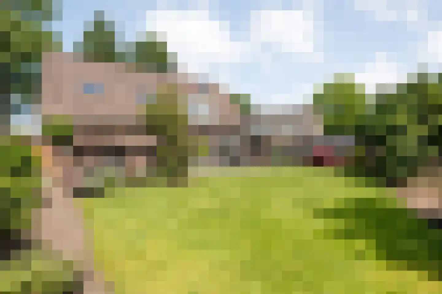 Schoolstraat-Oudleusen 34 Dalfsen thumbnail 4